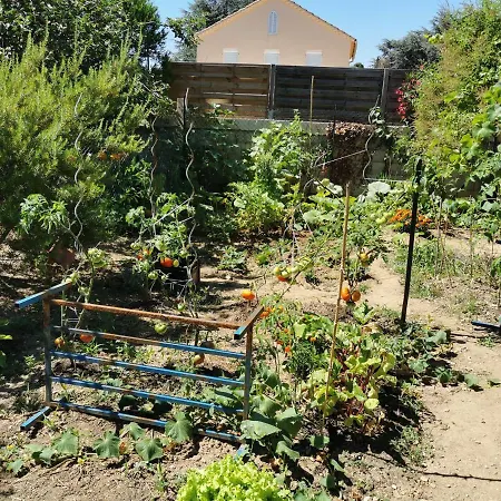 Bas De Avec Une Terrasse דירה *