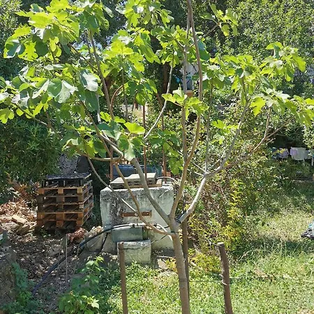 Appartamento Bas De Avec Une Terrasse La Seyne-sur-Mer